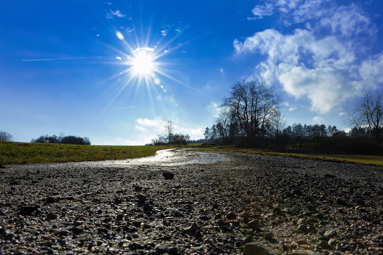 The Relationship Between History and Climate Change